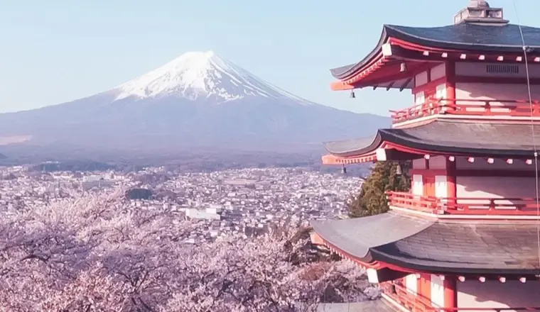 Japan Revealed, a last minute solo holiday with Just You